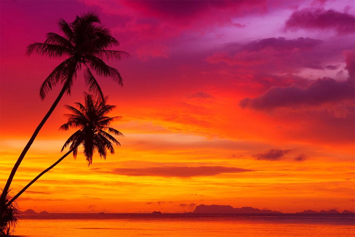 1200x801 Purple Tropical Sunset WALL MURAL