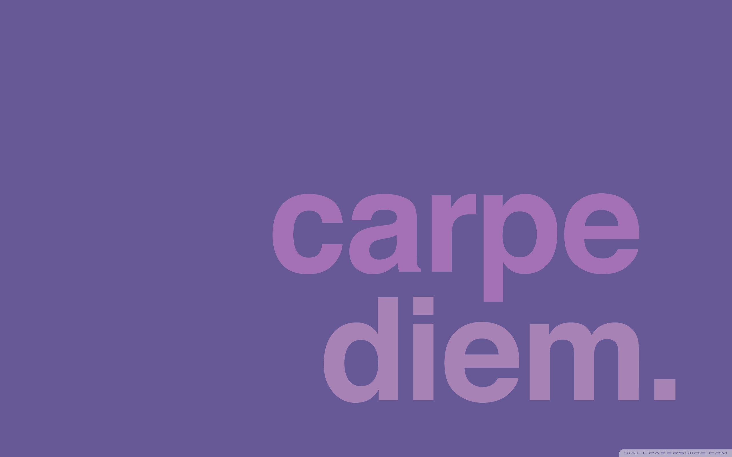 Vi carpe diem. Carpe Diem. Обои на рабочий стол Carpe Diem. Carpe Diem аватарка. Карпе диам обои на рабочий стол.