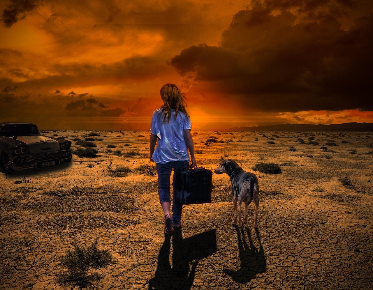 1280x996 Departure Woman Dog
