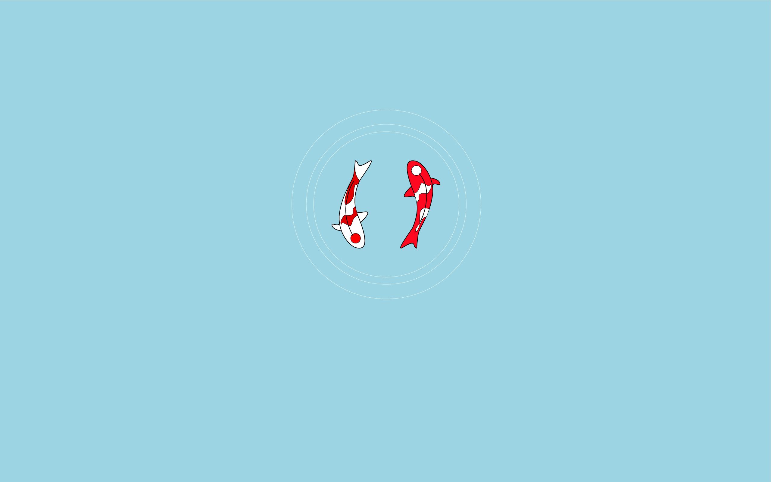 2560x1600 Tumblr Laptop Minimalist Wallpaper