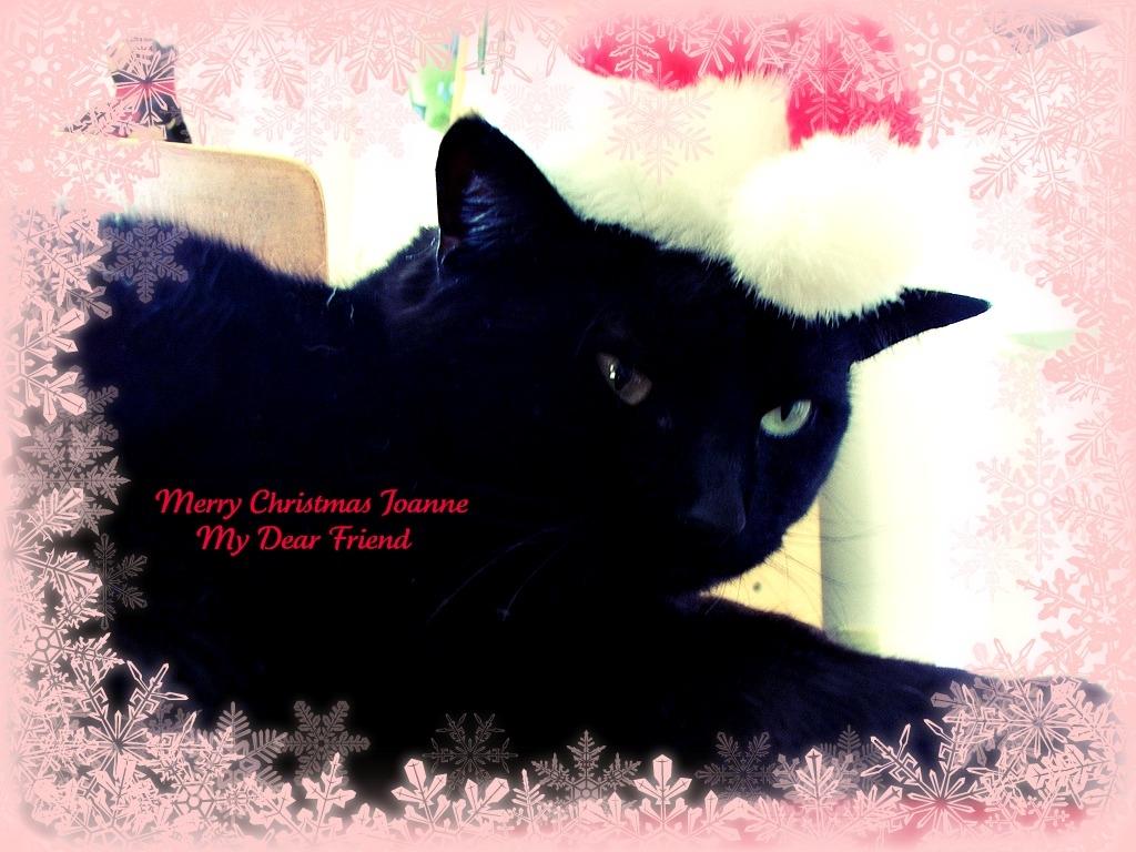 1024x768 Free download More PC Wallpaper for Your Desktop Background [1024x768] for your Desktop, Mobile & Tablet. Explore Black Cat Christmas Wallpaper. Free Cat Wallpaper For Desktop, Kitten Wallpaper Free