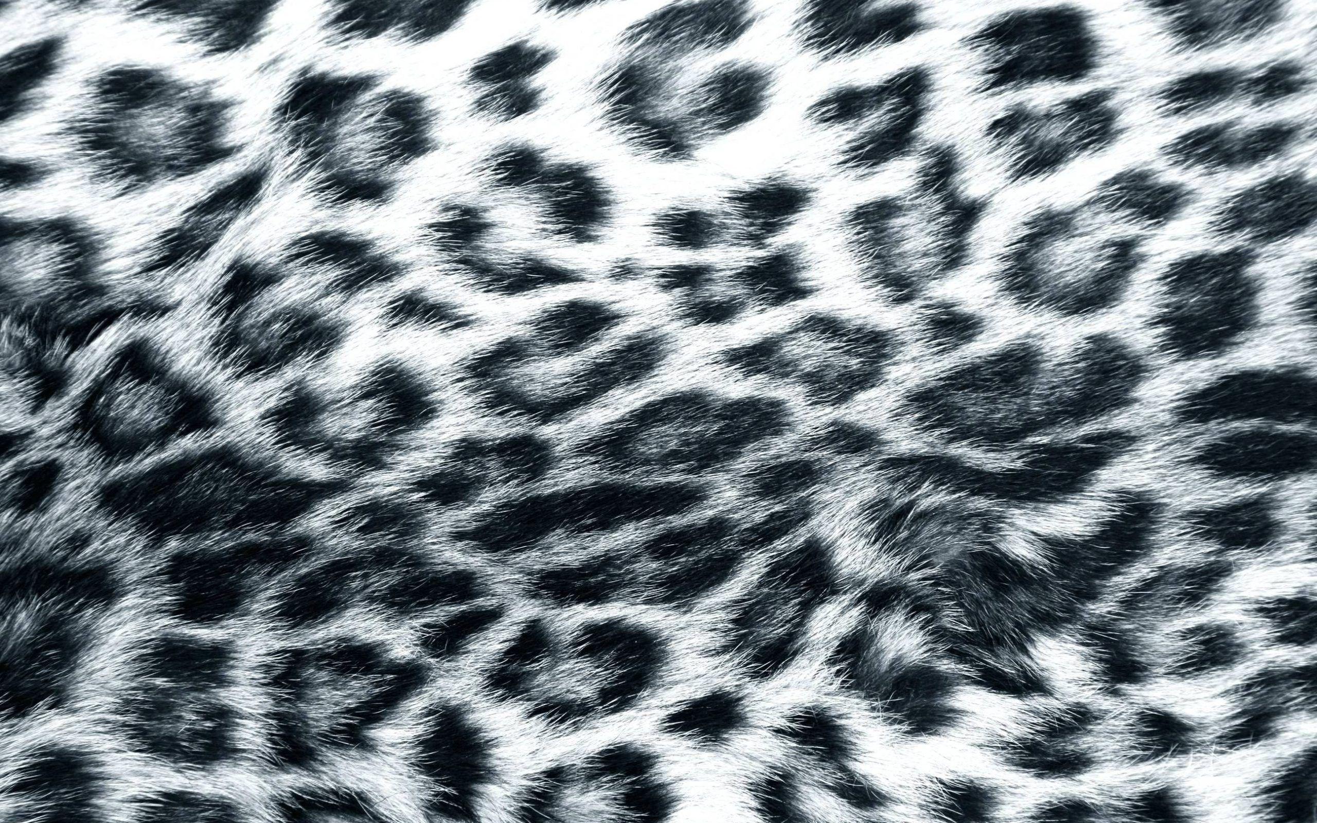 Hình nền 2560x1600 Blue and White Leopard Print
