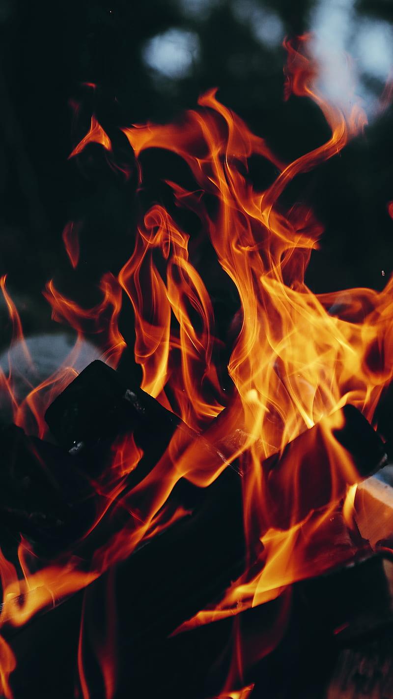 800x1421 Best Fire Wallpaper [ Desktop + Phone ]