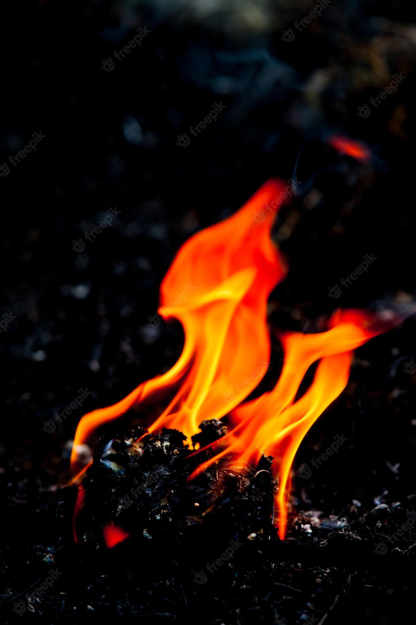 1333x2000 Premium Photo. Flame fire movement