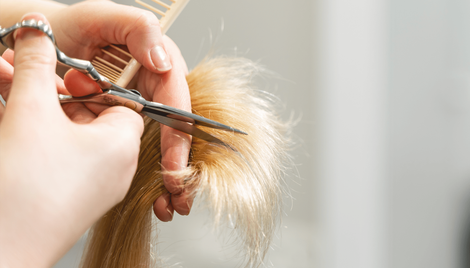 1540x878 DIY Treatment for Split Ends