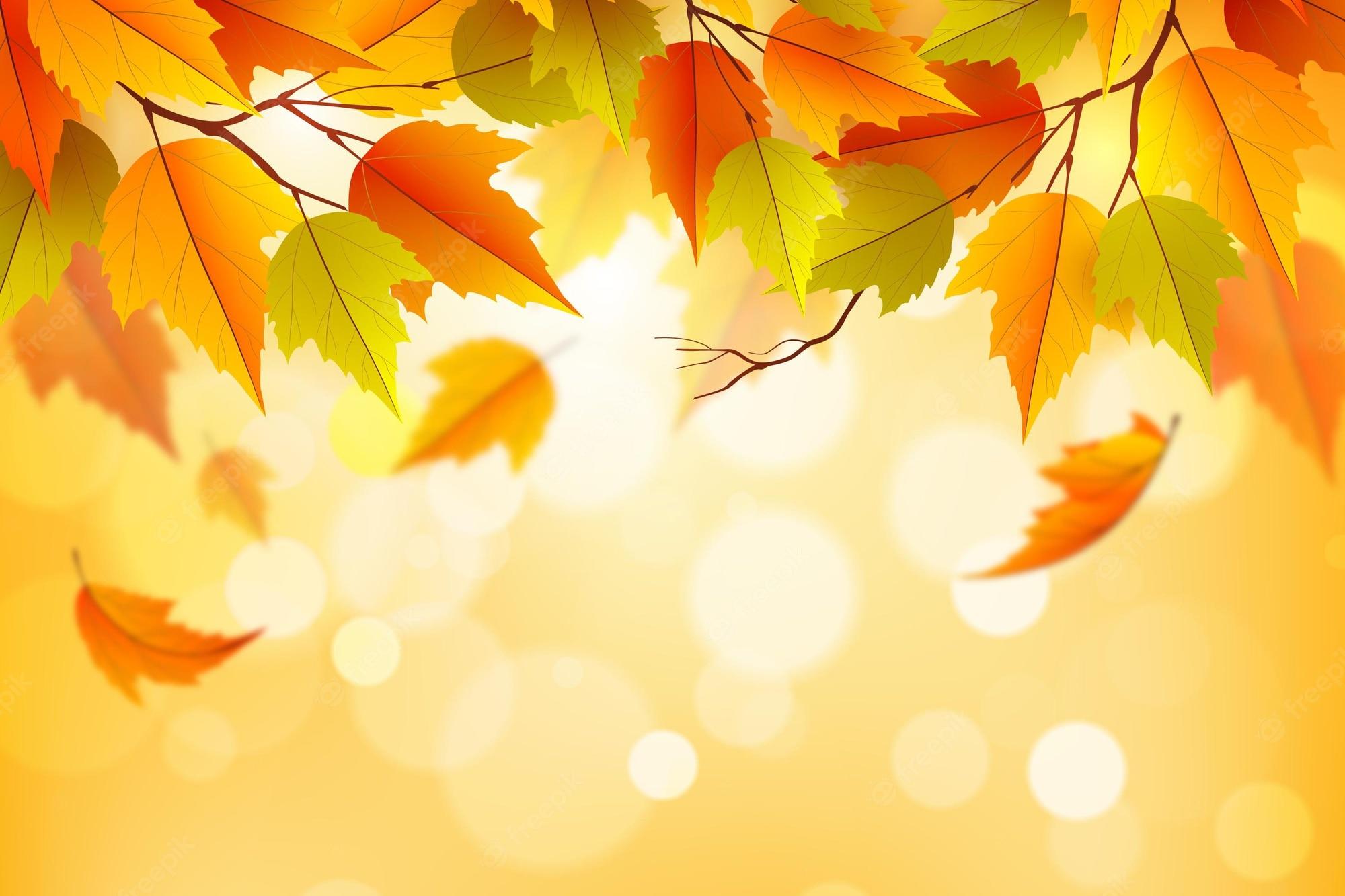 Autumn Drawing Wallpapers - Top Free Autumn Drawing Backgrounds