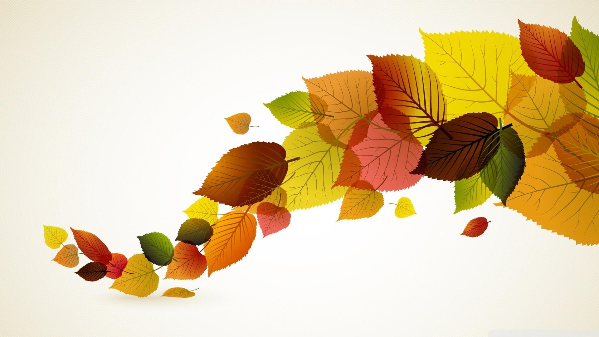 1920x1080 Autumn Leaves Background Ultra HD Desktop Background Wallpaper for 4K UHD TV : Tablet