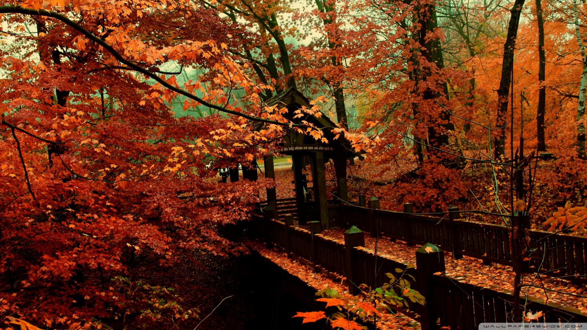 1920x1080 Autumn Scene Background Wallpaper for Desktop