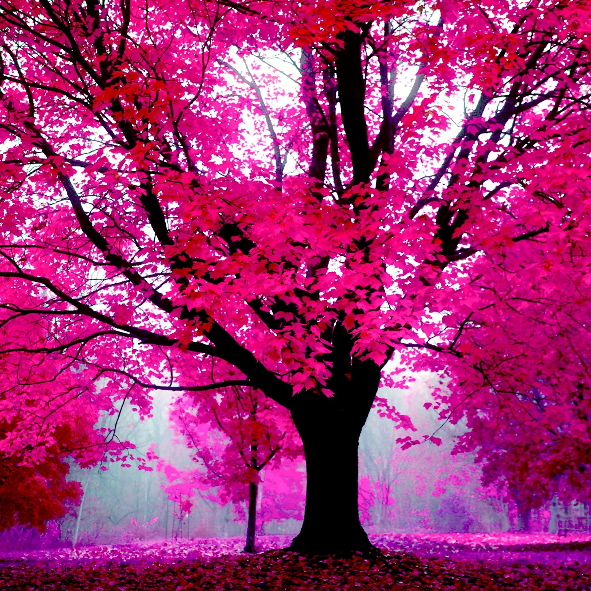 Cute Pink iPad Wallpapers Top Free Cute Pink iPad Backgrounds