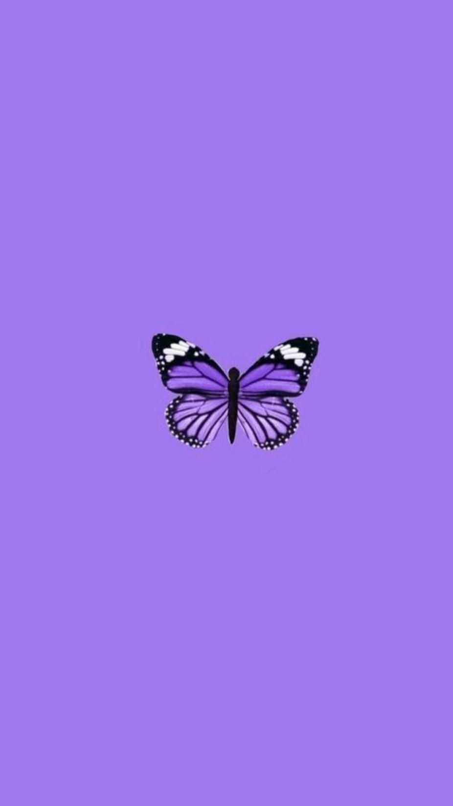 926x1646 Purple Wallpaper