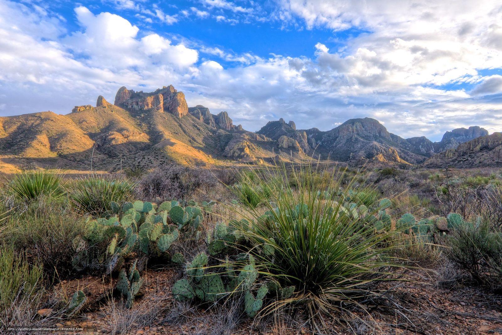 1600x1067 Big Bend National Park Wallpaper