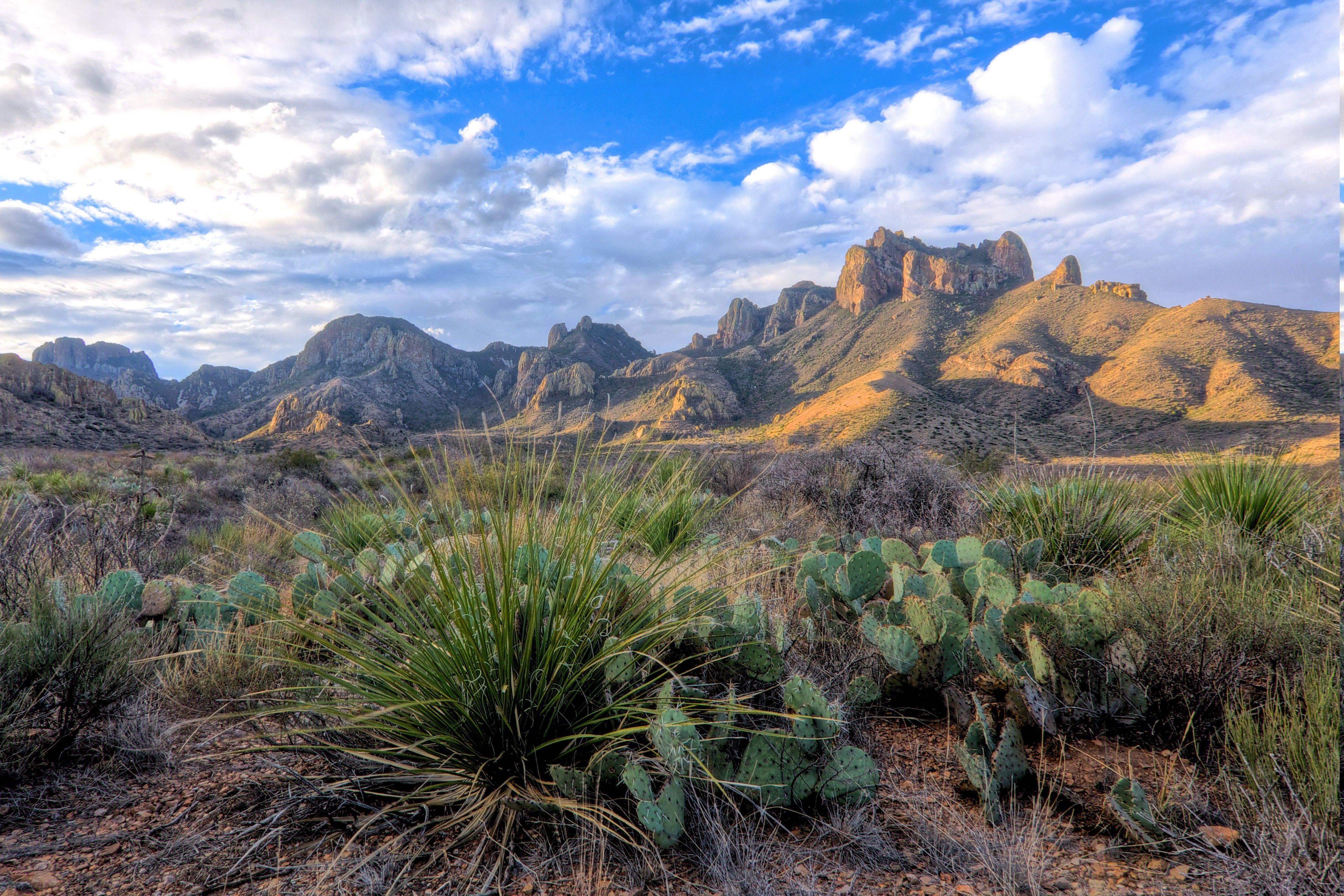 4671x3114 Big Bend National Park Wallpaper
