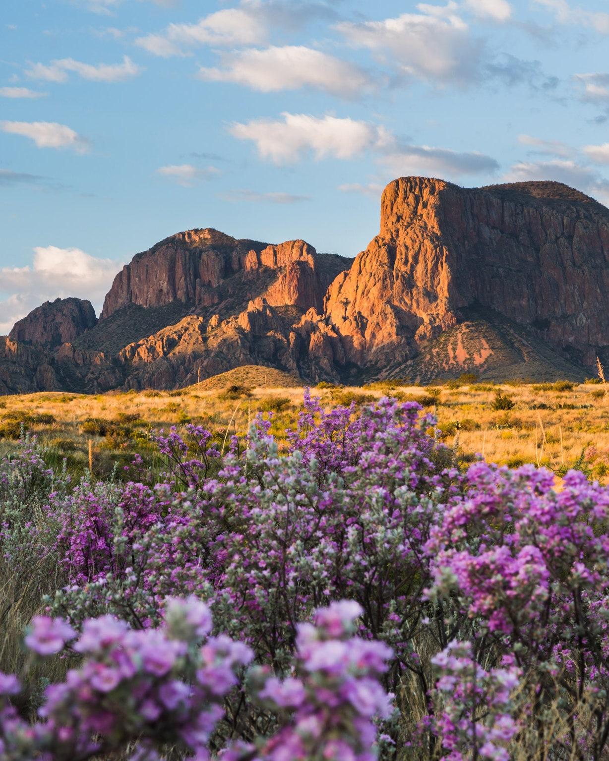 1228x1535 National Parks in Photo: The Most Beautiful Shot We Could Find of Every U.S. National Park. Condé Nast Traveler