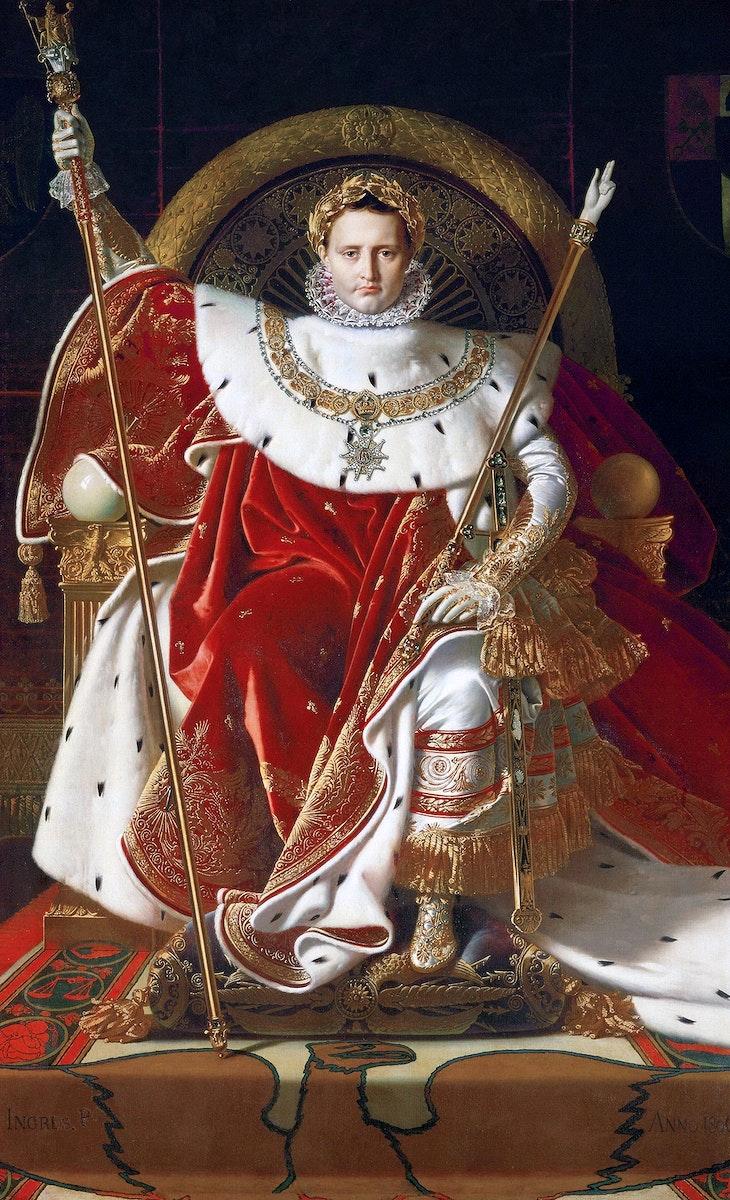 730x1200 Napoleon Image Wallpaper