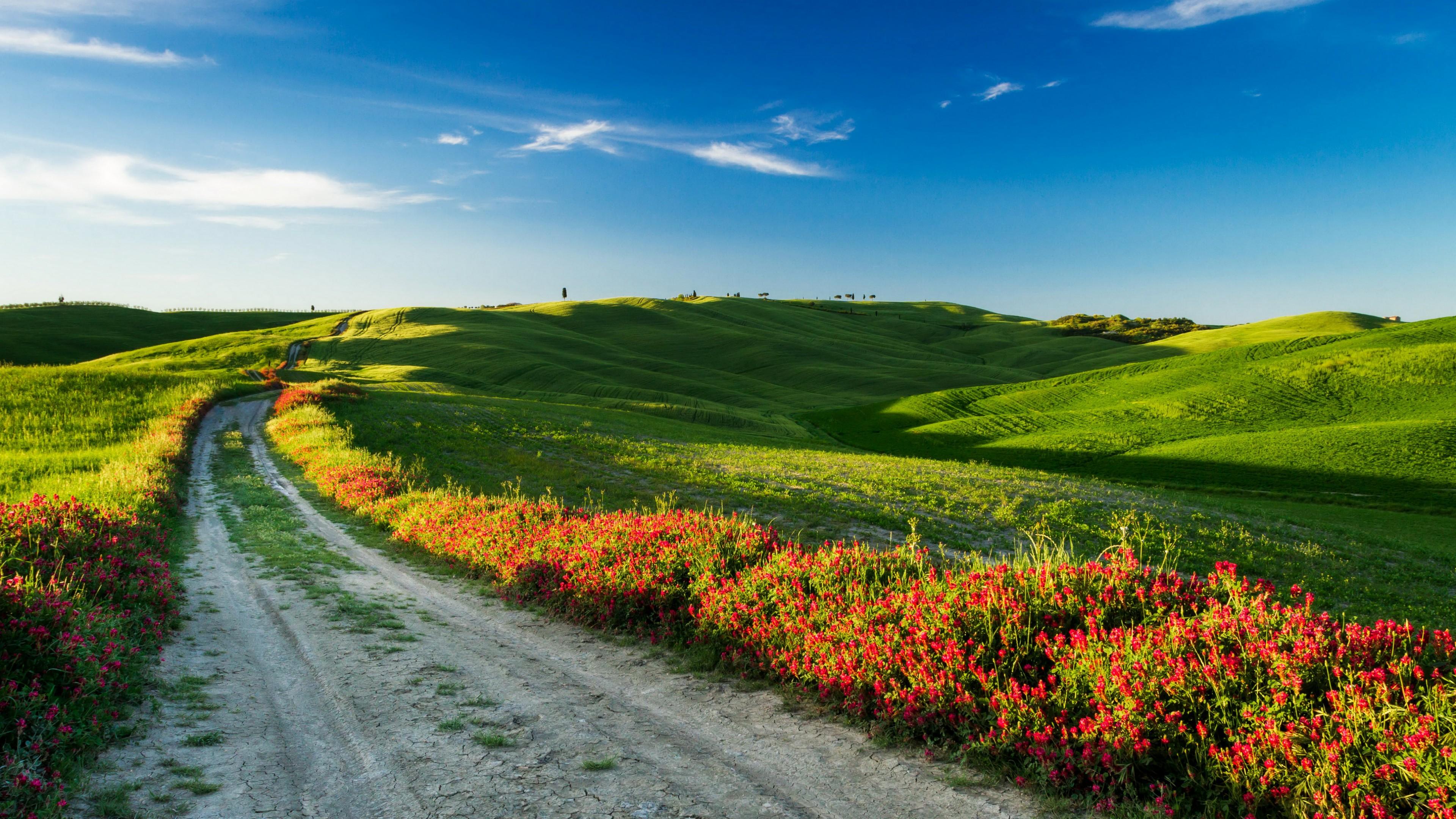 3840x2160 Wallpaper Tuscany, 4k, HD wallpaper, Italy, Meadows, road, wildflowers, sky, Nature