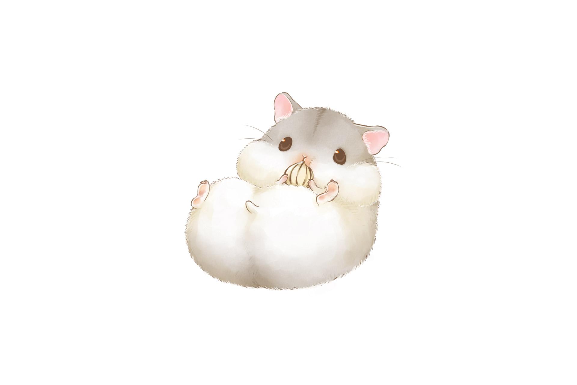 1920x1280 Hamster HD Wallpaper and Background