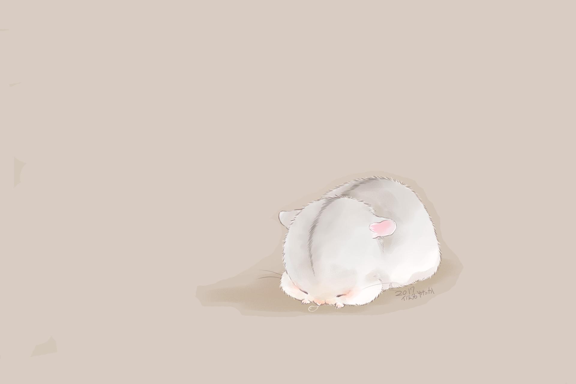 1920x1280 Hamster HD Wallpaper and Background