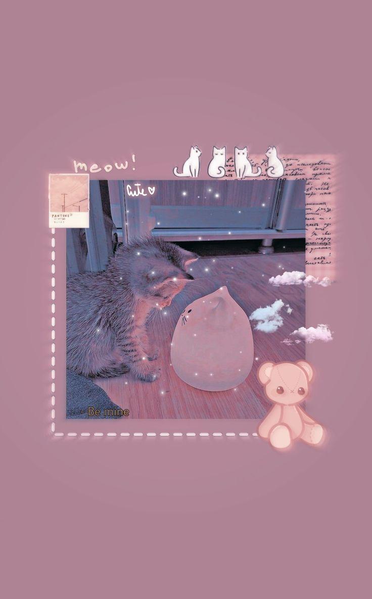736x1185 Aesthetic Cute Cat Wallpaper. Cute cat wallpaper, Cat wallpaper, Wallpaper