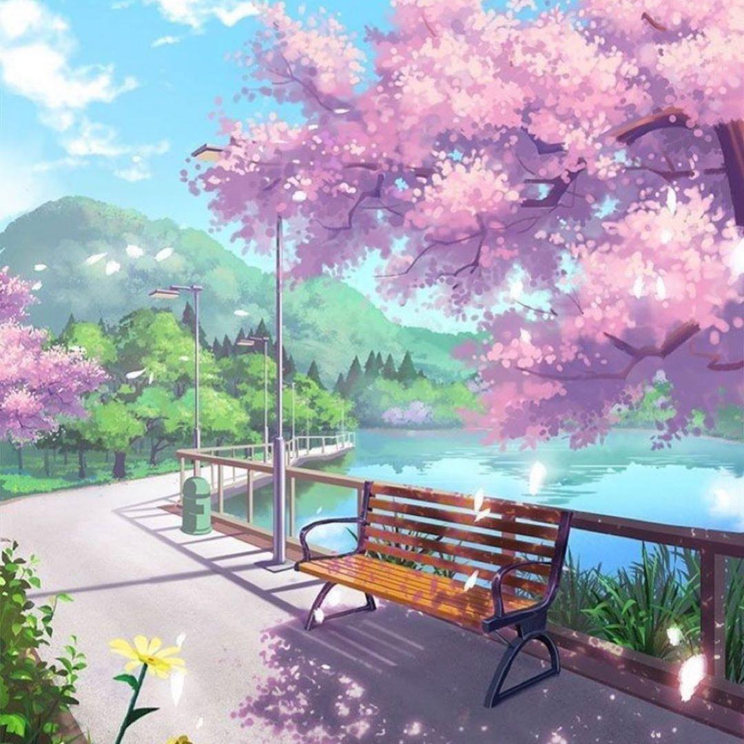 1080x1080 Different Aesthetic Shop on Instagram: “Cherry Blossom Graphic shirt. .. . Aesthetic anime cherry blossom wallpaper, Cute wallpaper background, Anime wallpaper