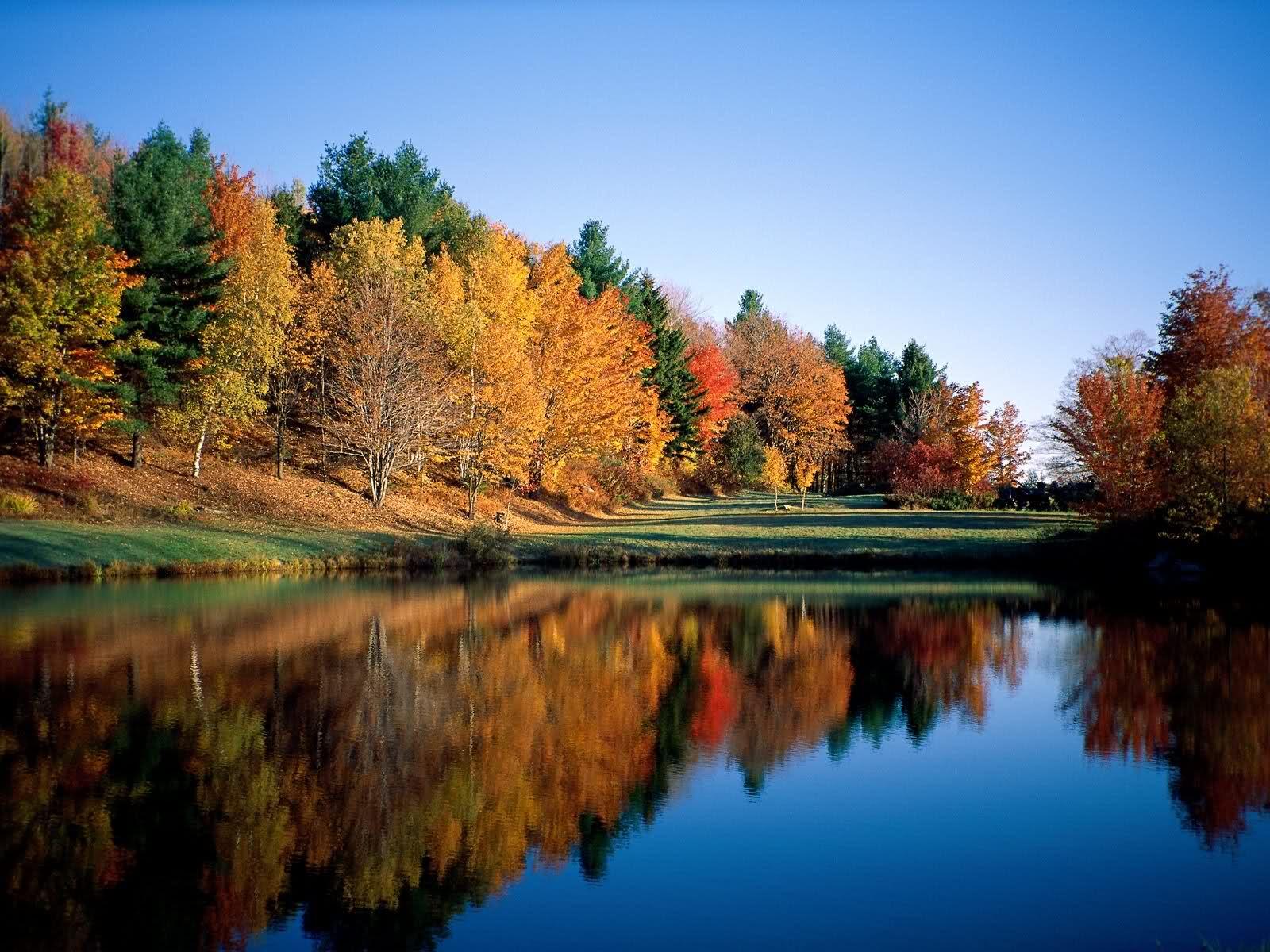 1600x1200 Early Autumn Wallpaper