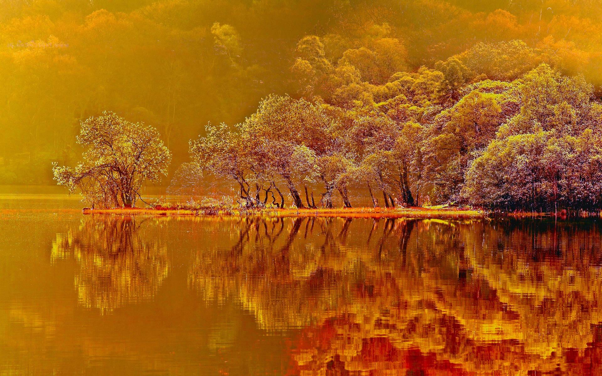 1920x1200 Fall Wallpaper & Background For FREE