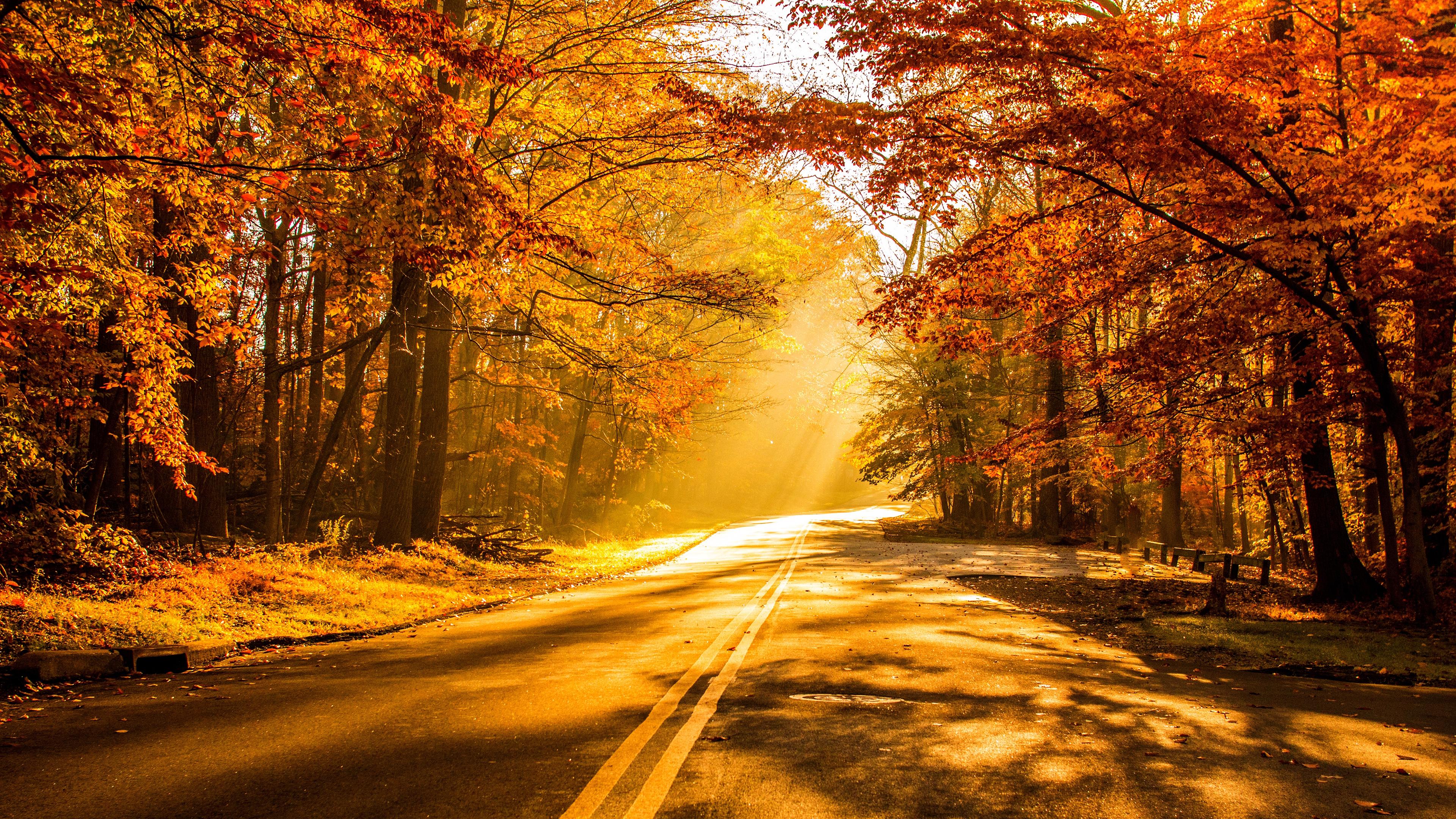 3840x2160 4K Fall Wallpaper for Desktop, iPad & iPhone