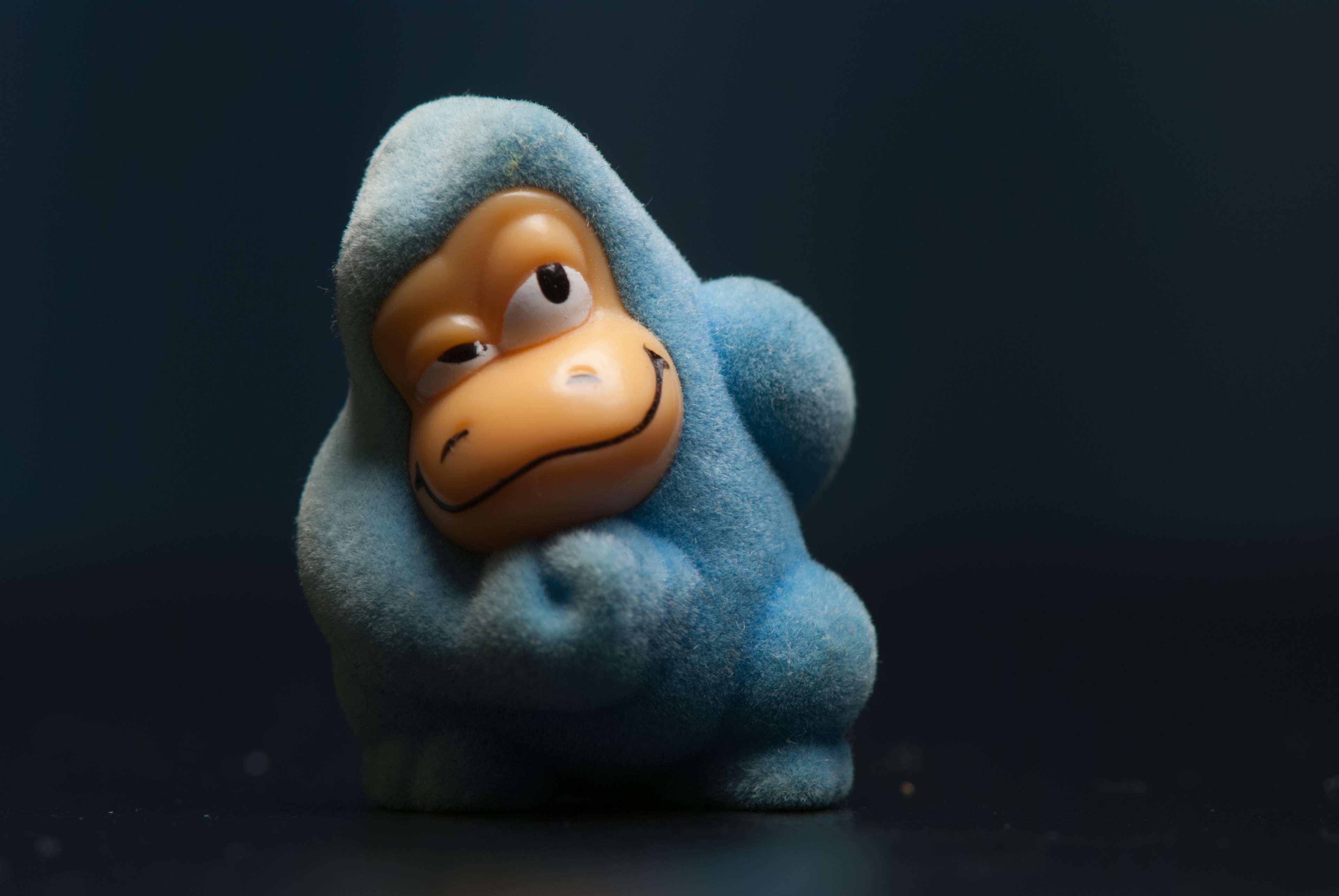 3840x2571 gorilla 4k wallpaper Gallery HD Wallpaper