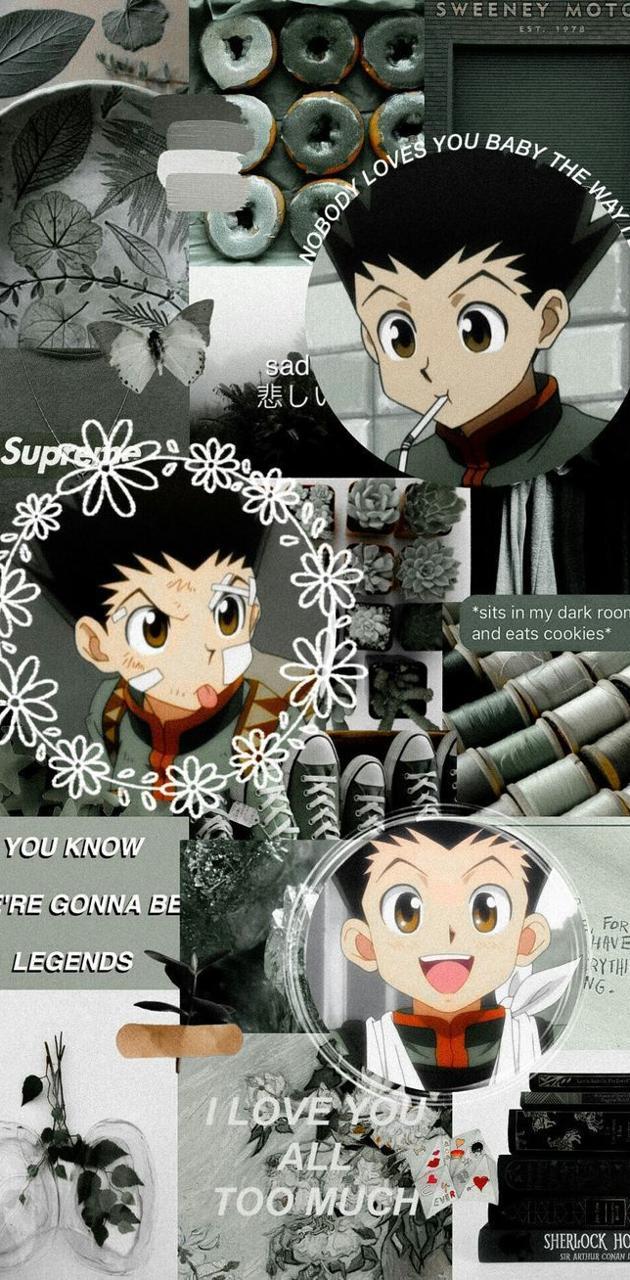630x1280 HxH Gon wallpaper