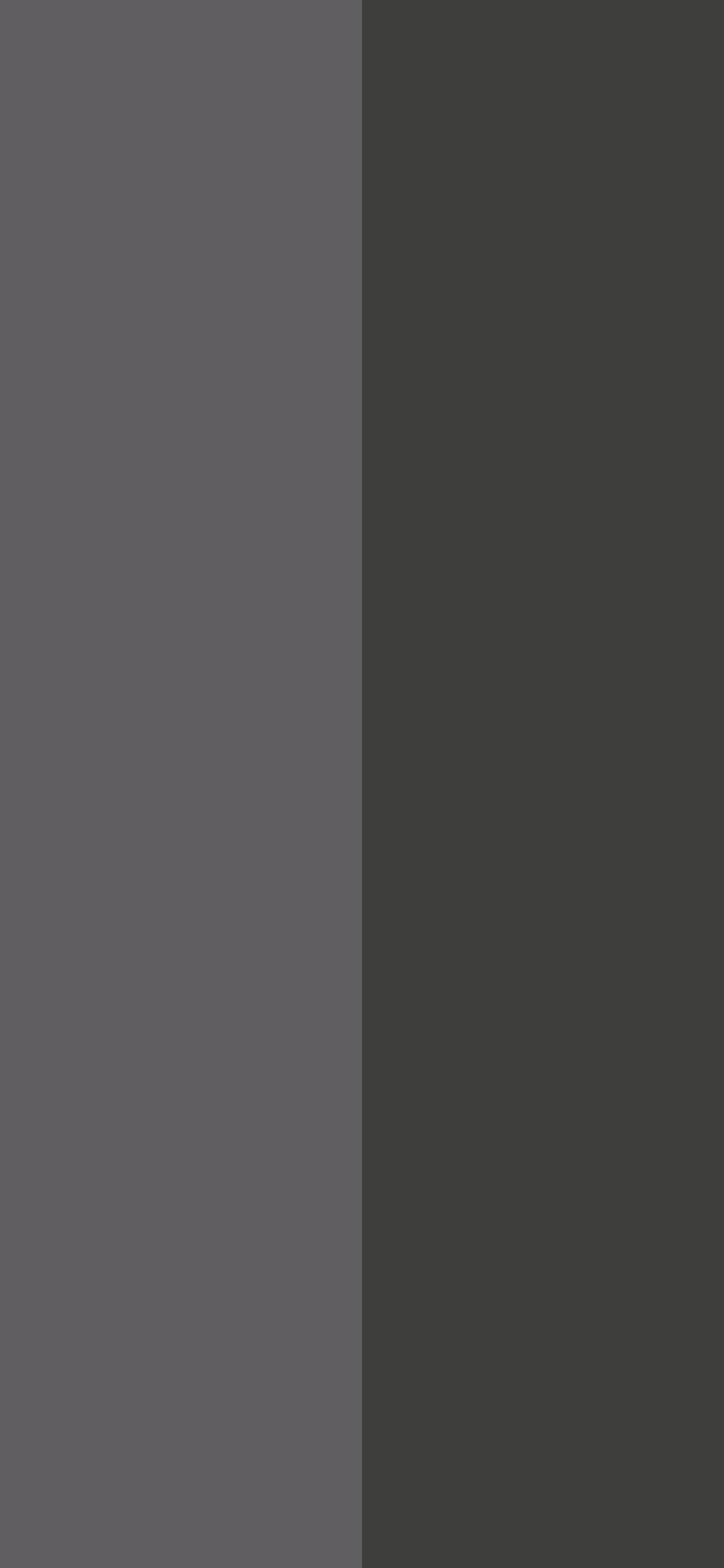 1242x2688 Duo iPhone wallpaper with split colors