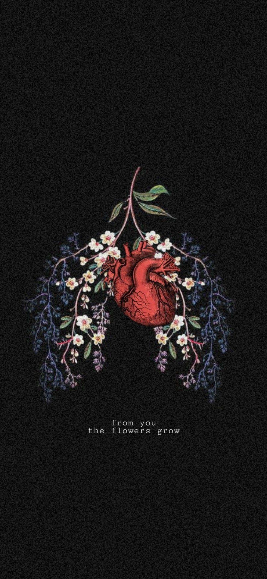 887x1920 All my heart. and lungs. Album art, Florence the machines, Pretty art