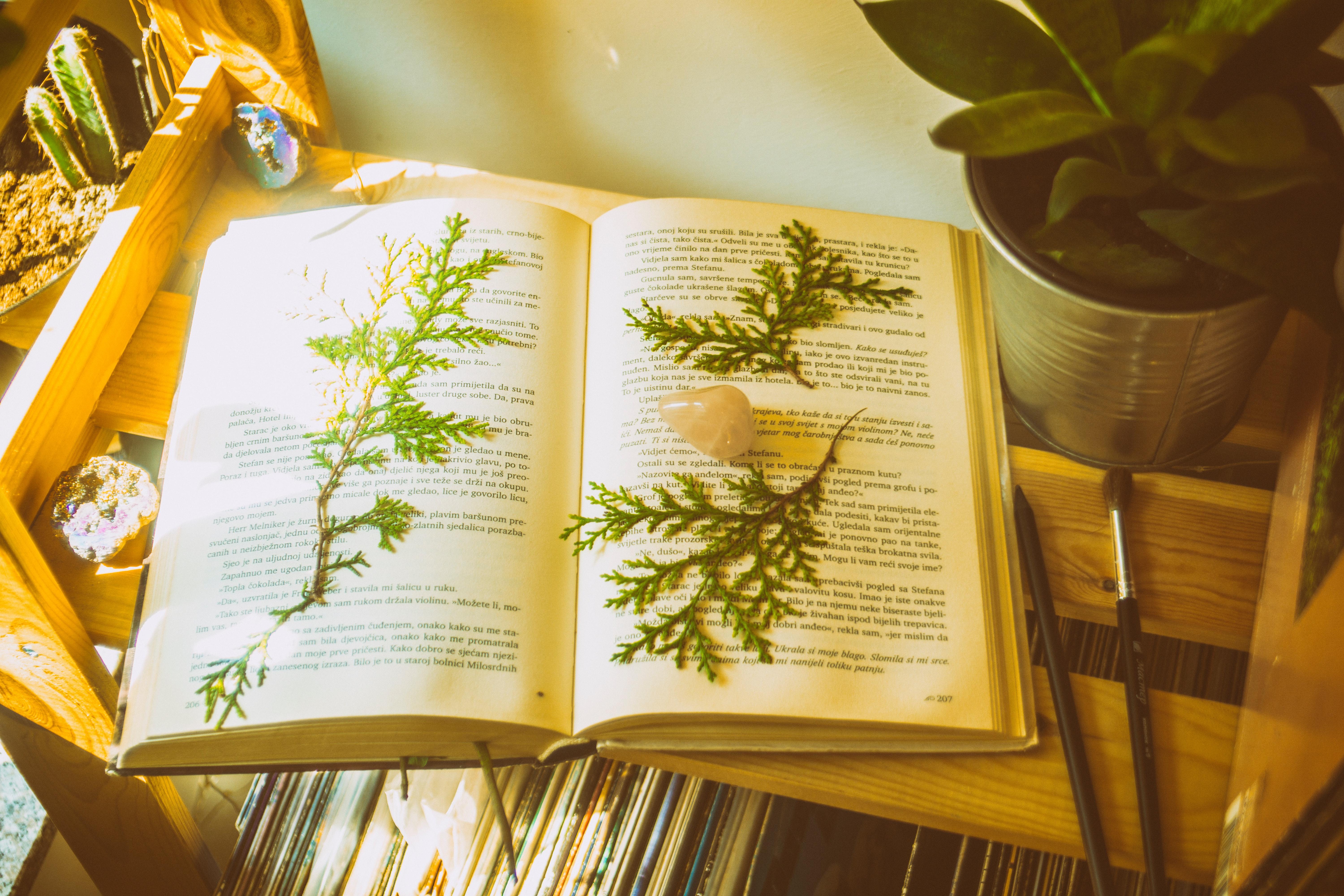 6000x4000 Opened Book · Free