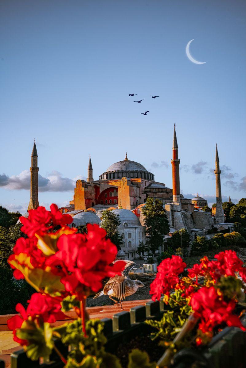 801x1200 Hagia Sophia. Photography tours, Istanbul photography, Istanbul