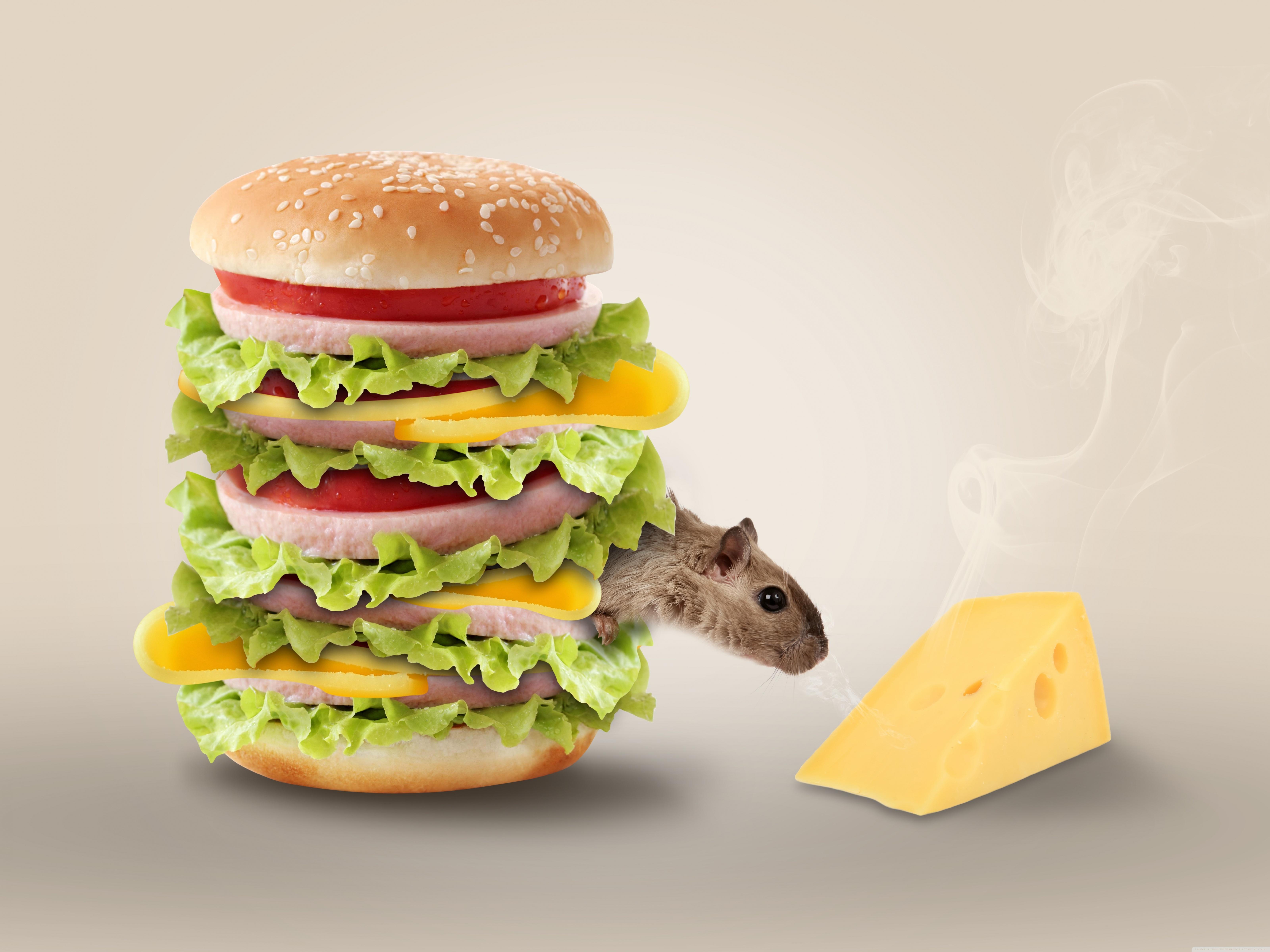 6400x4800 Hamburger Ultra HD Desktop Background Wallpaper for 4K UHD TV : Widescreen & UltraWide Desktop & Laptop : Tablet