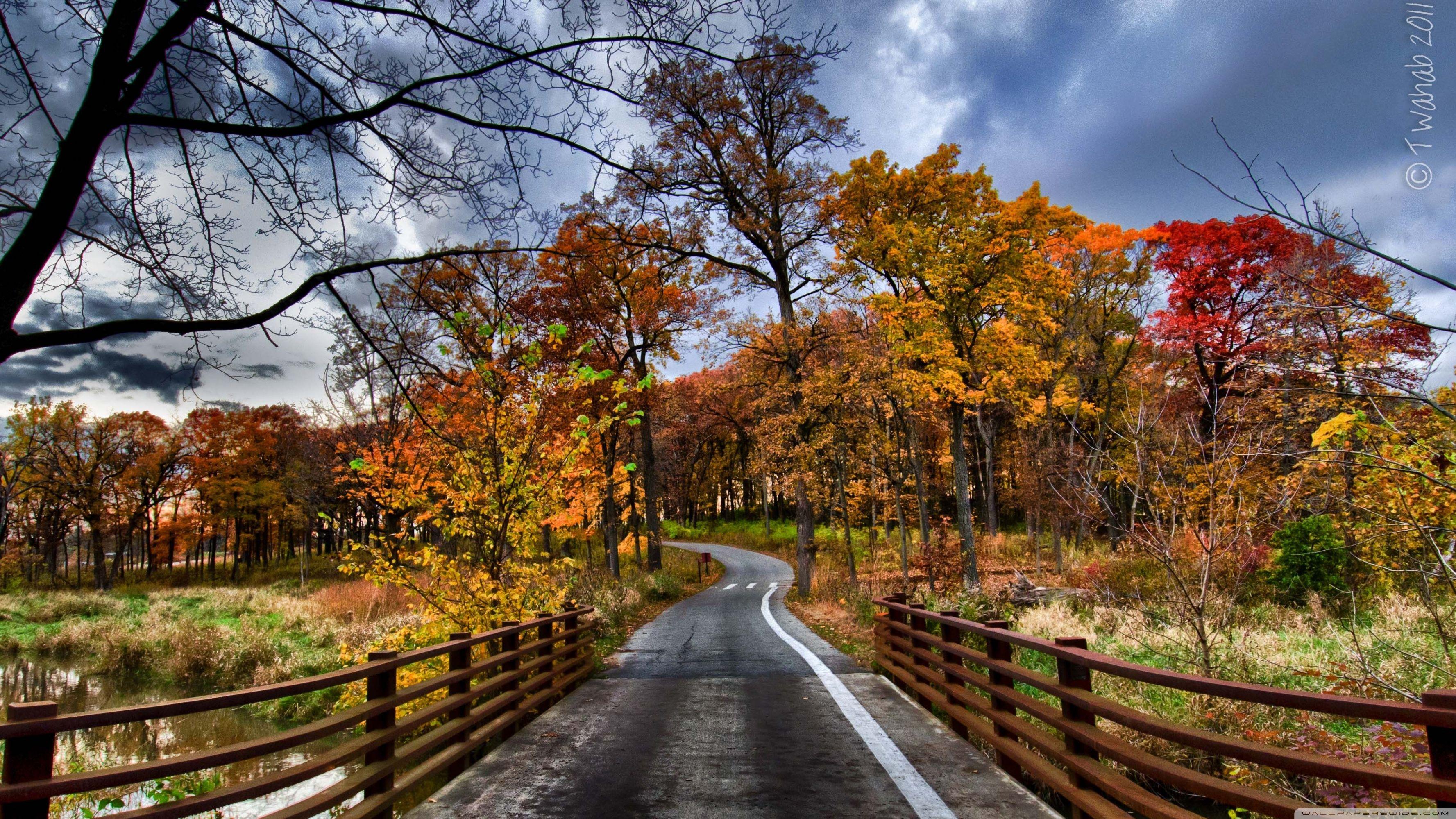 Fall отзывы. Осень. Осень фото красивые. Заставка на рабочий стол осень. Осенняя дорога.