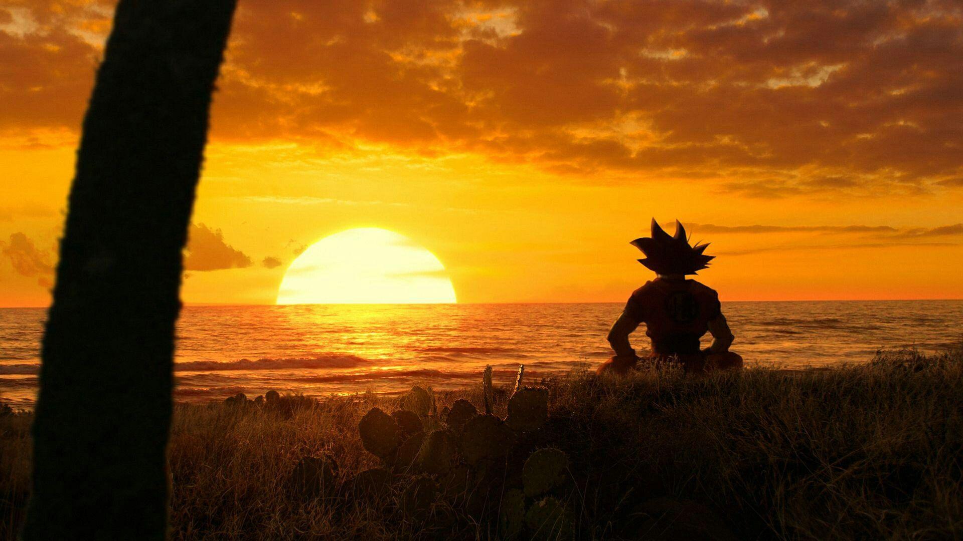 Goku Sunset Wallpapers - Top Free Goku Sunset Backgrounds - WallpaperAccess