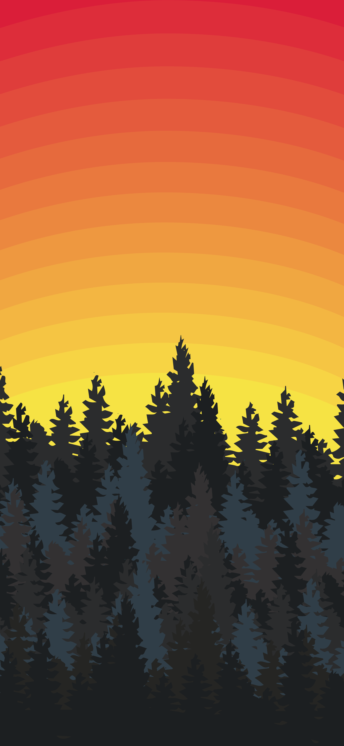 1205x2609 Phone wallpaper HD in the forest