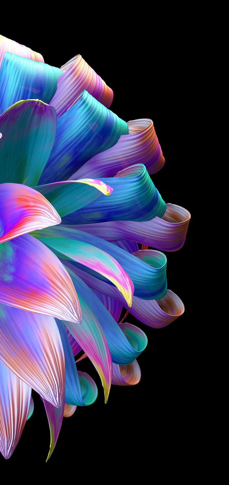 736x1553 FLOWER AESTHETIC AMOLED WALLPAPER