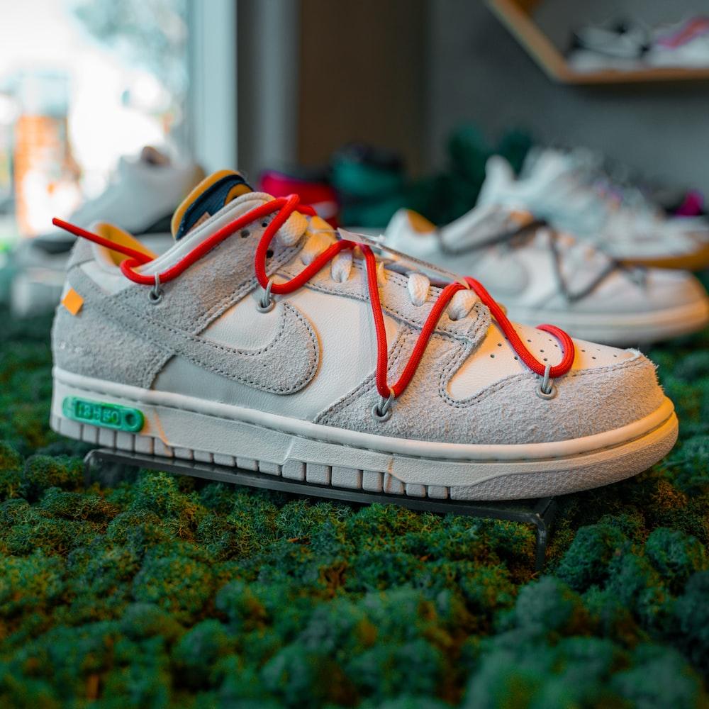 dunk low net