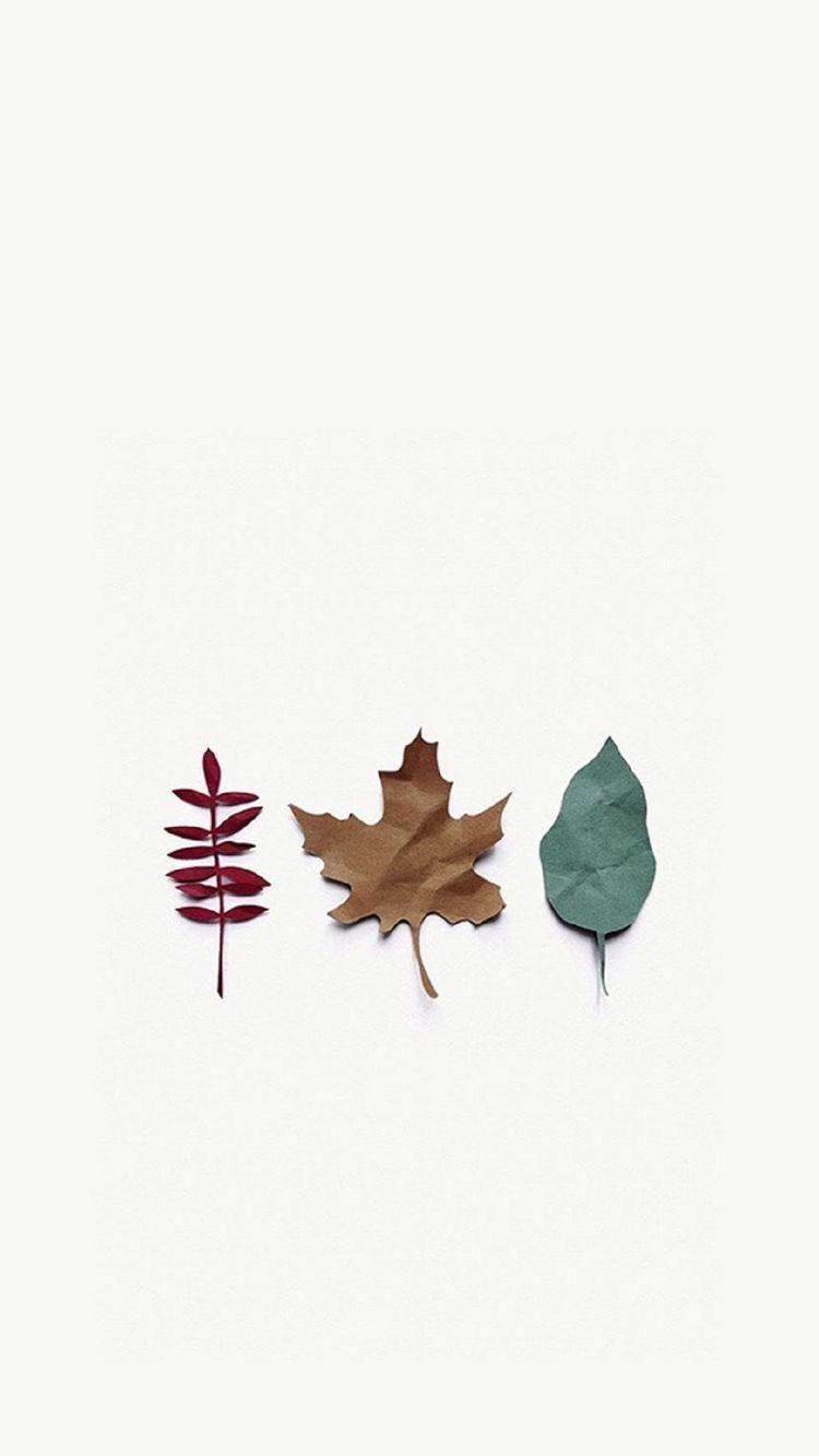 Simple Fall Wallpapers - Top Free Simple Fall Backgrounds - WallpaperAccess