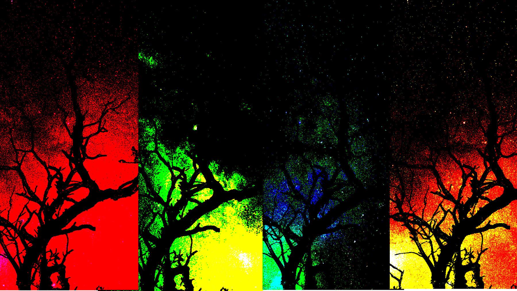 1800x1014 Autumn Shadow PC Wallpaper + 4 Phone Wallpaper Pack