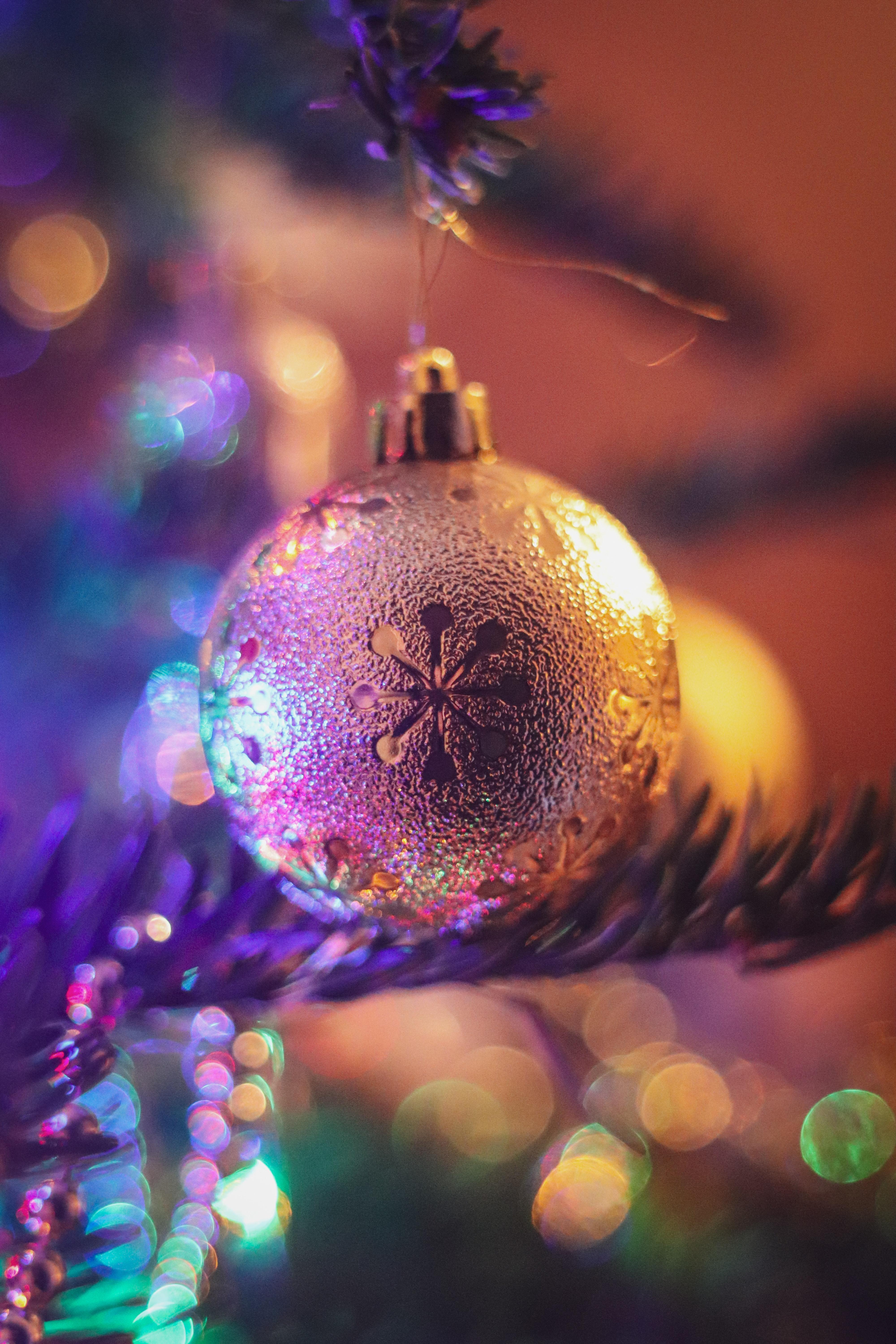 4000x6000 Shallow Focus Photo of Believe in the Magic of Christmas Signage · Free