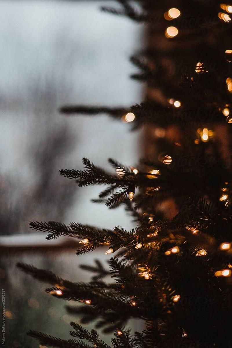 801x1200 Preppy Christmas discovered