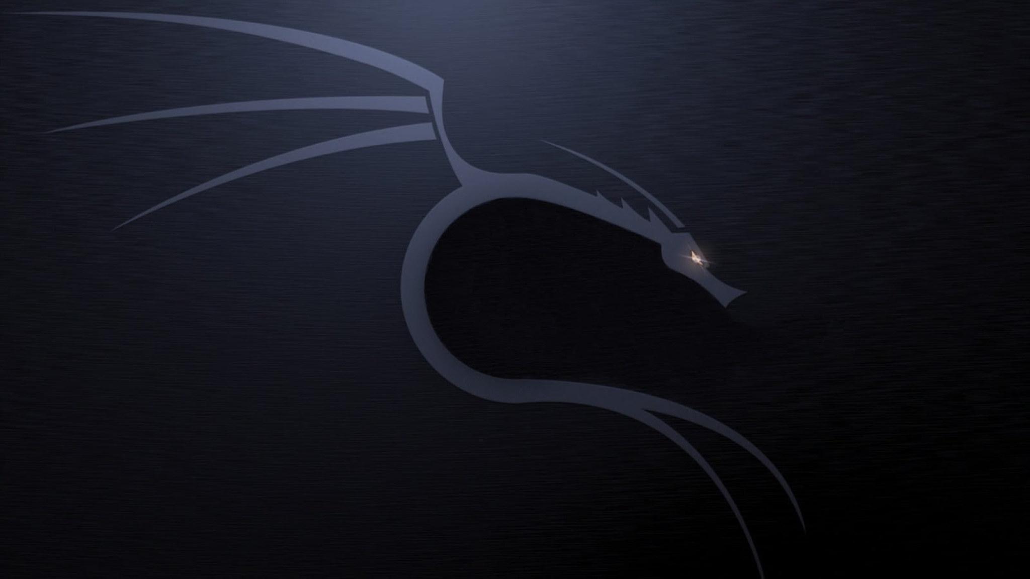 2048x1152 Wallpaper Gray And Black Dragon Wallpaper, Linux, Kali Linux NetHunter • Wallpaper For You