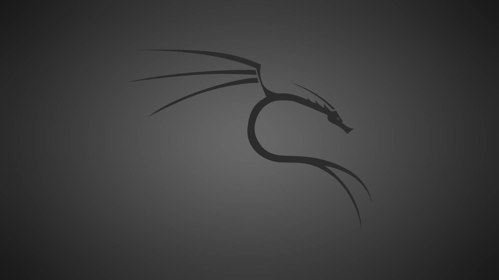 Black and Gray Dragon Wallpapers - Top Free Black and Gray Dragon ...