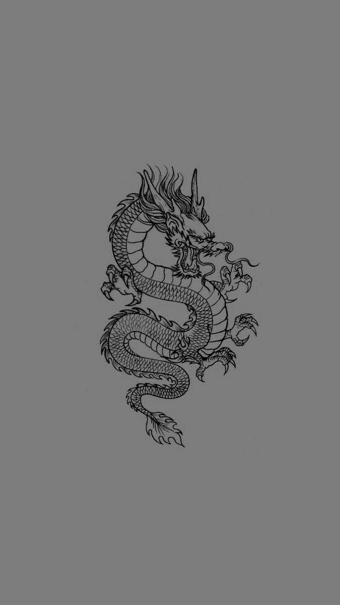 Black and Gray Dragon Wallpapers - Top Free Black and Gray Dragon ...