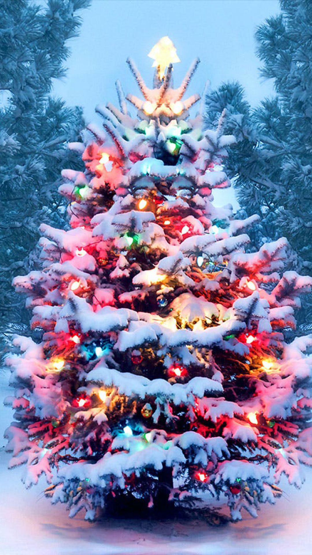 1080x1920 Christmas Tree Wallpaper Christmas Tree Background Download