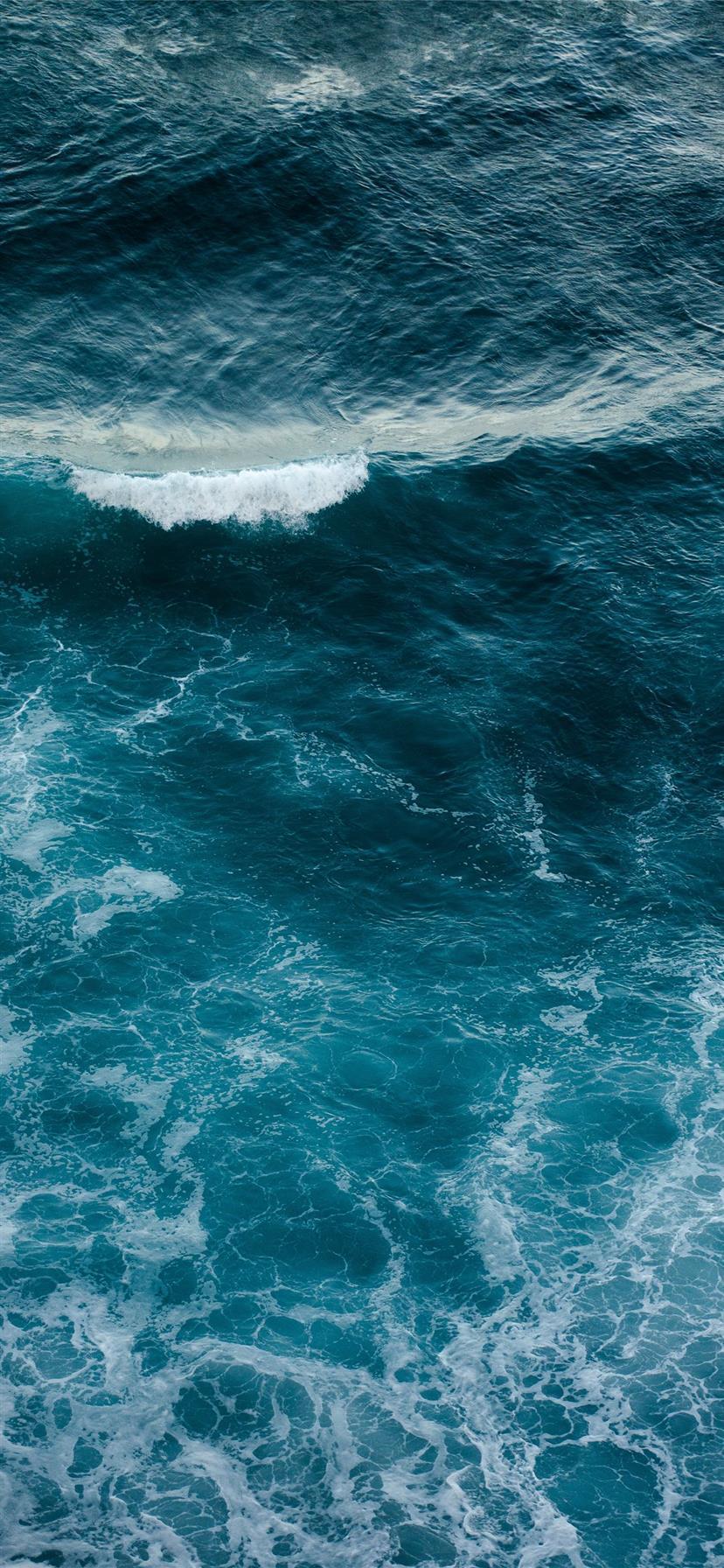 828x1792 Wild Ocean iPhone 11 Wallpaper Free Download