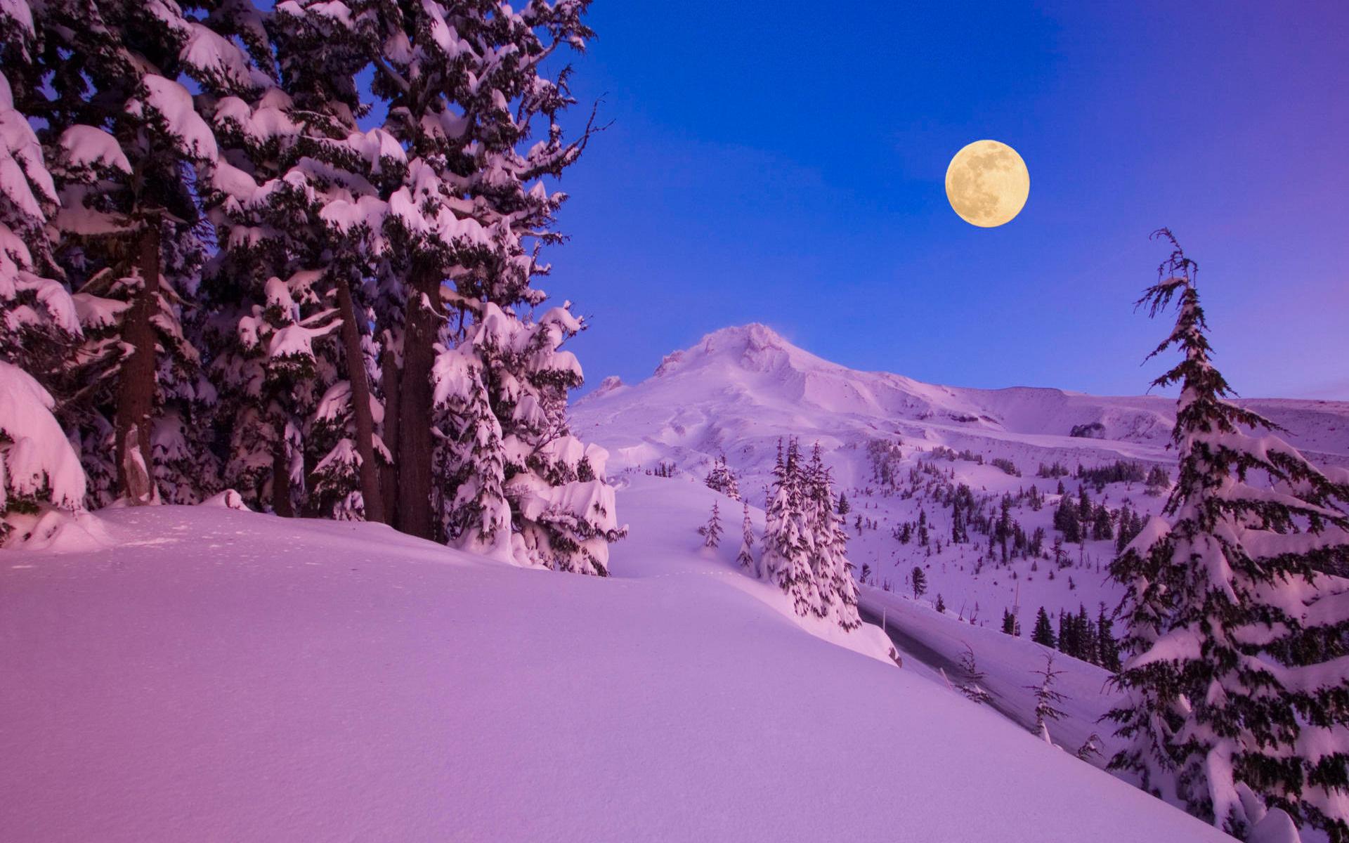 1920x1200 Free download Wallpaper winter snow night moon mountains tree desktop wallpaper [1920x1200] for your Desktop, Mobile & Tablet. Explore Snowy Winter Night Scenes Wallpaper. Free Winter Scene Wallpaper, Snowy