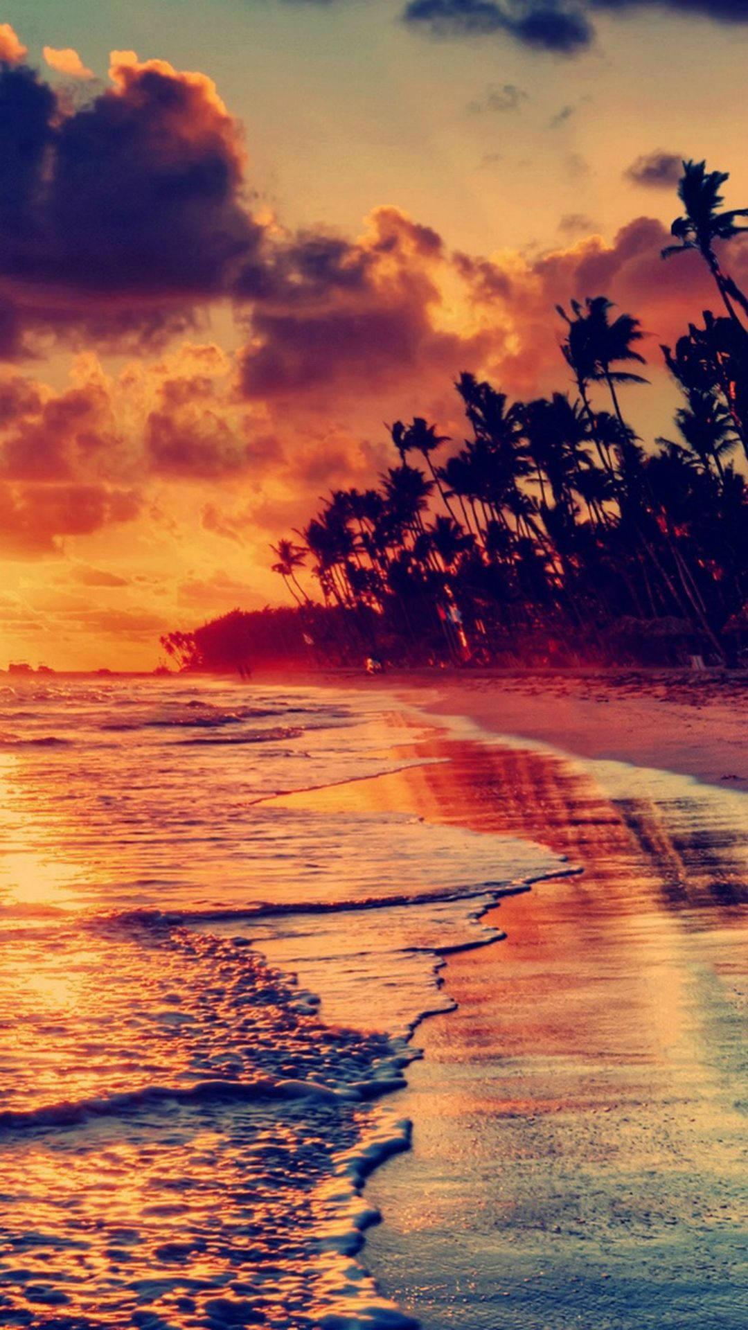 1080x1920 Download Sunset View Beach Shoreline iPhone Wallpaper