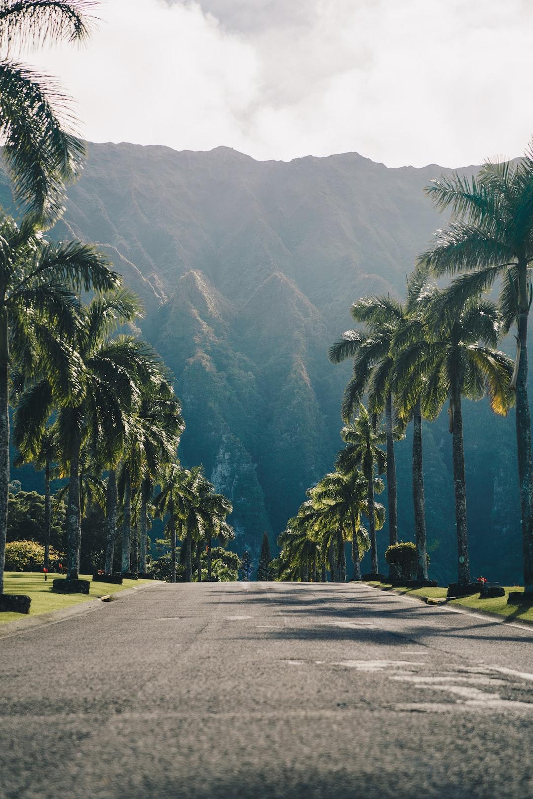 1080x1620 Hawaii Wallpaper: Free HD Download [HQ]